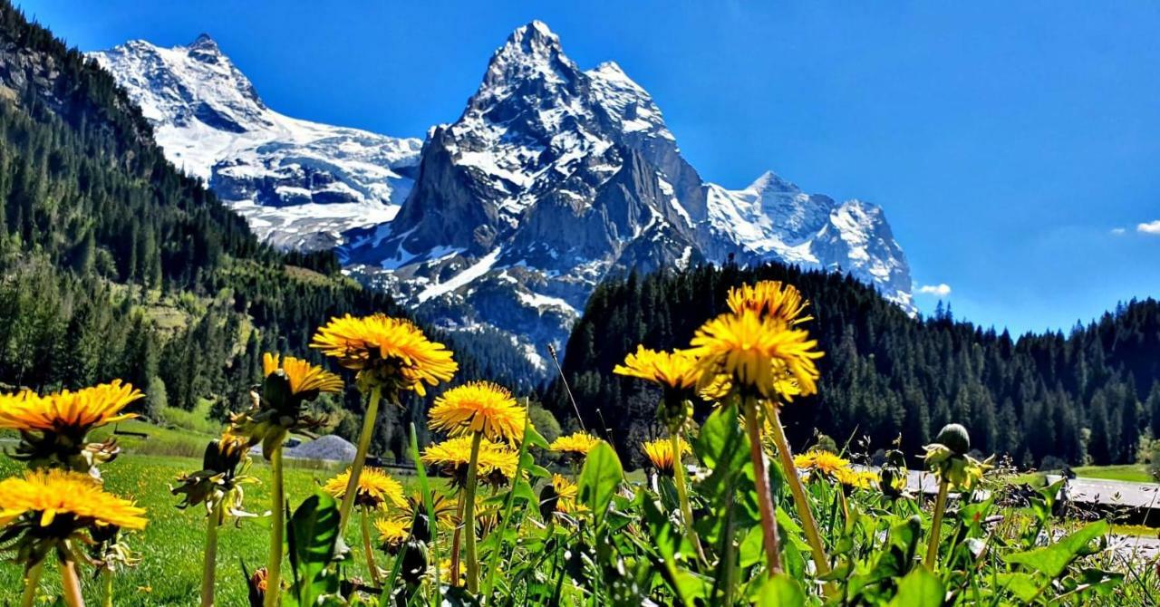 Churchstreet Appartements Meiringen Luaran gambar